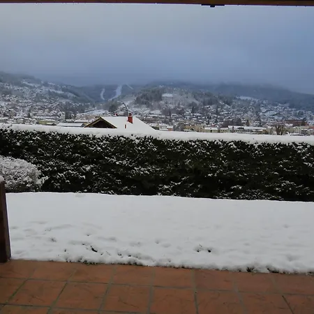 Apartament Les Edelweiss Gérardmer