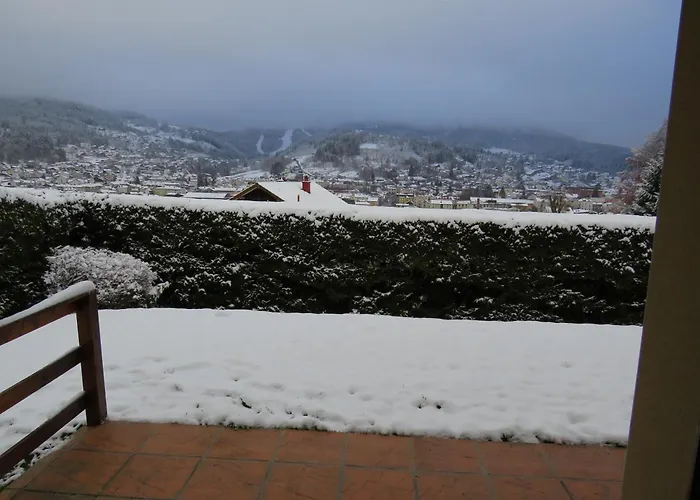 Apartment Les Edelweiss Gerardmer